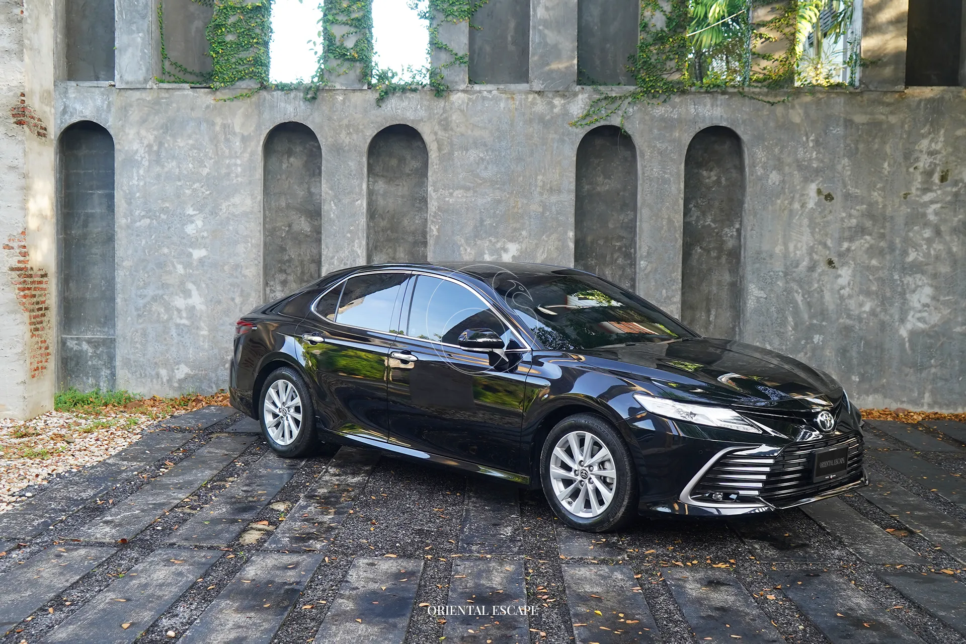 خيارات السفر — Premium Car