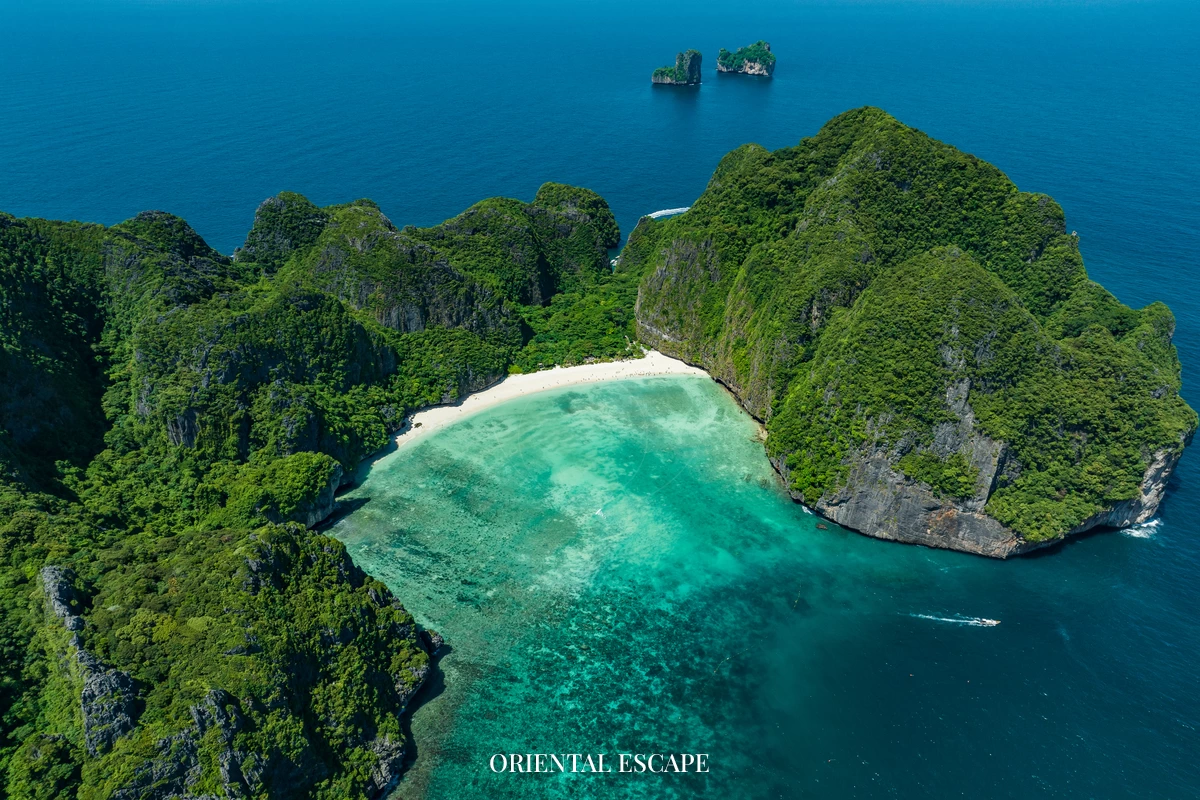 Phi Phi Island Tour