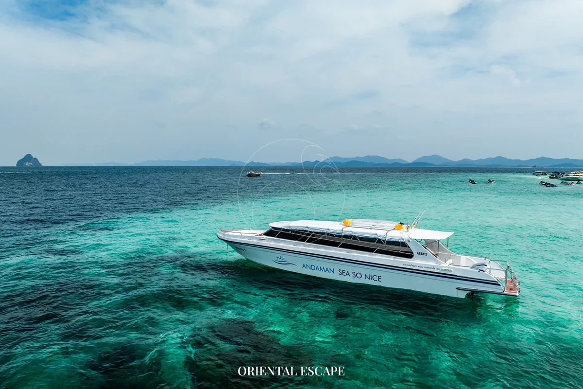 Private Phi Phi Islands tour