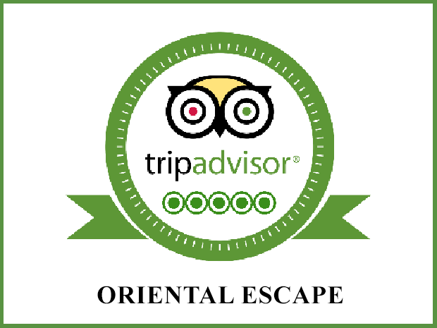 Trip Advisor