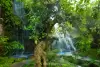 premium Chiang Mai holiday for GCC