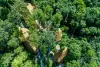The Patong Sky Adventure*مغامرة باتونج سكاي
