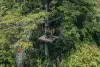 The Ultimate Jungle Flight*رحلة التحليق المثالية في قلب الغابة