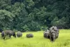 Khao Yai Nature Escape