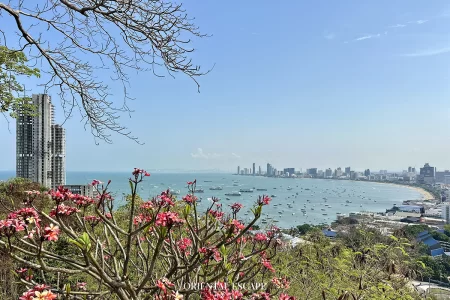 Bangkok & Pattaya Family Happiness Journey*Bangkok & Pattaya Family Happiness Journey